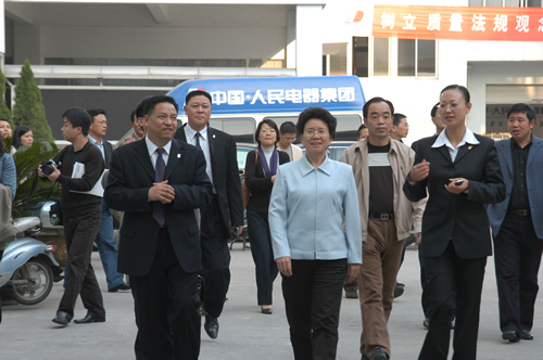 人民电器,人民电器集团,中国人民电器集团